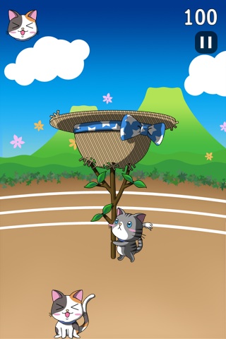 Screenshot Cats Toss Screenshot Cats Toss